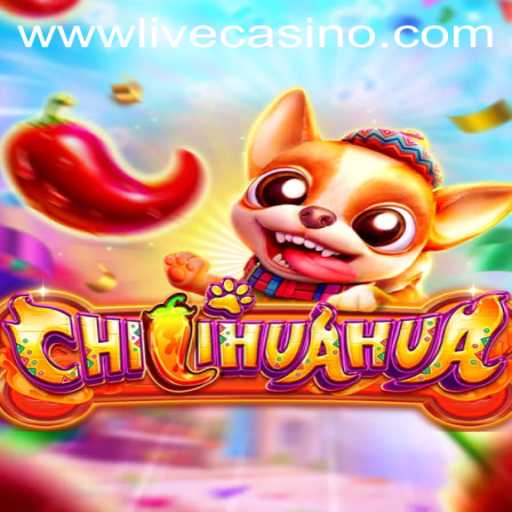 Discover the Excitement of CHILIHUAHUA at Livecasino.io